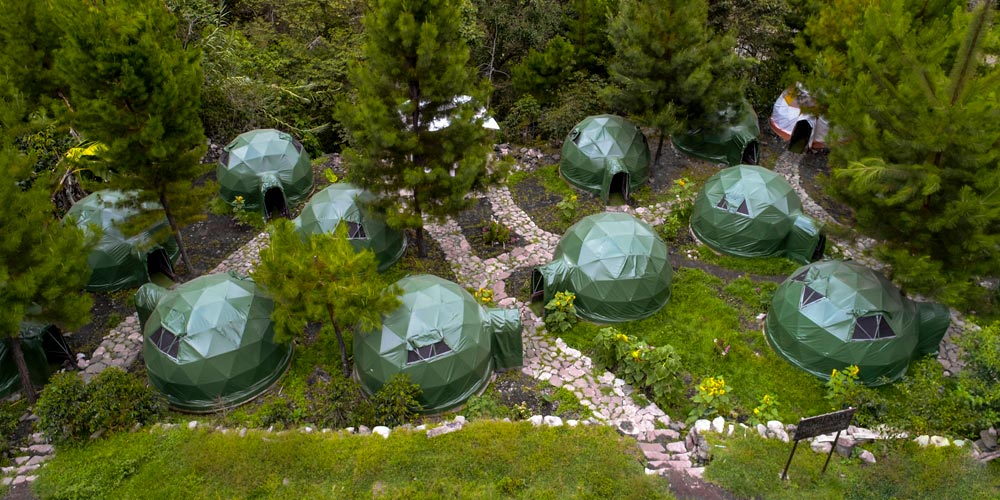 Jungle Domes Jungle Domes