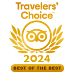 Travelers choice tripadvisor logo