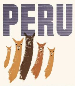 Portal publishes 24 reasons to never travel to Peru