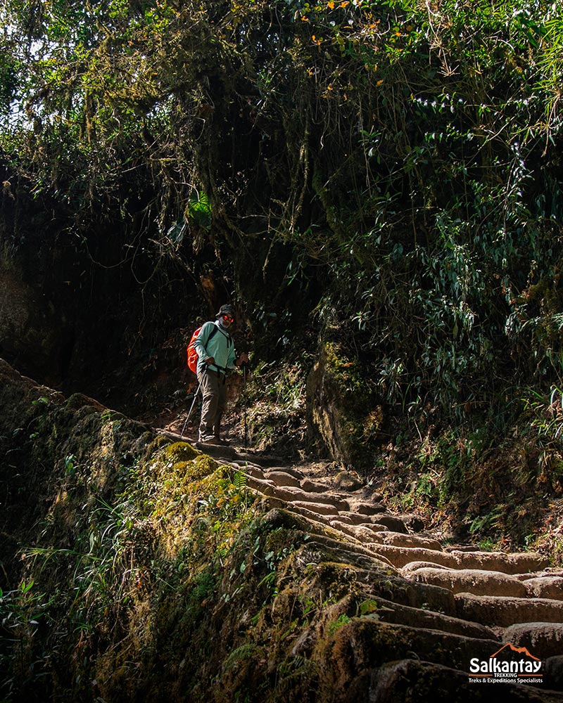 Tourist descending ancient stairs on the Inca Trail