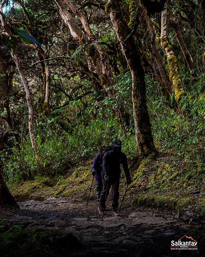 The Inca Trail: Journey Through History