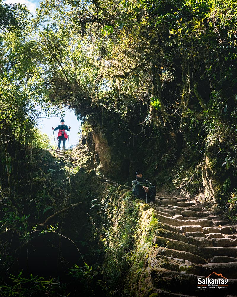 Lush vegetation along the Inca Trail