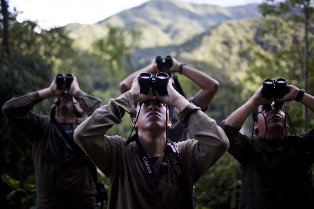 Men watching birds on Peru