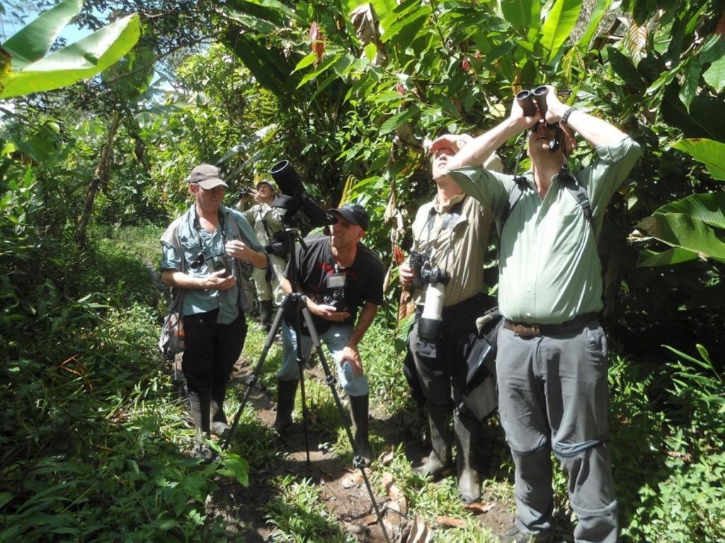 Men watching birds on Peru