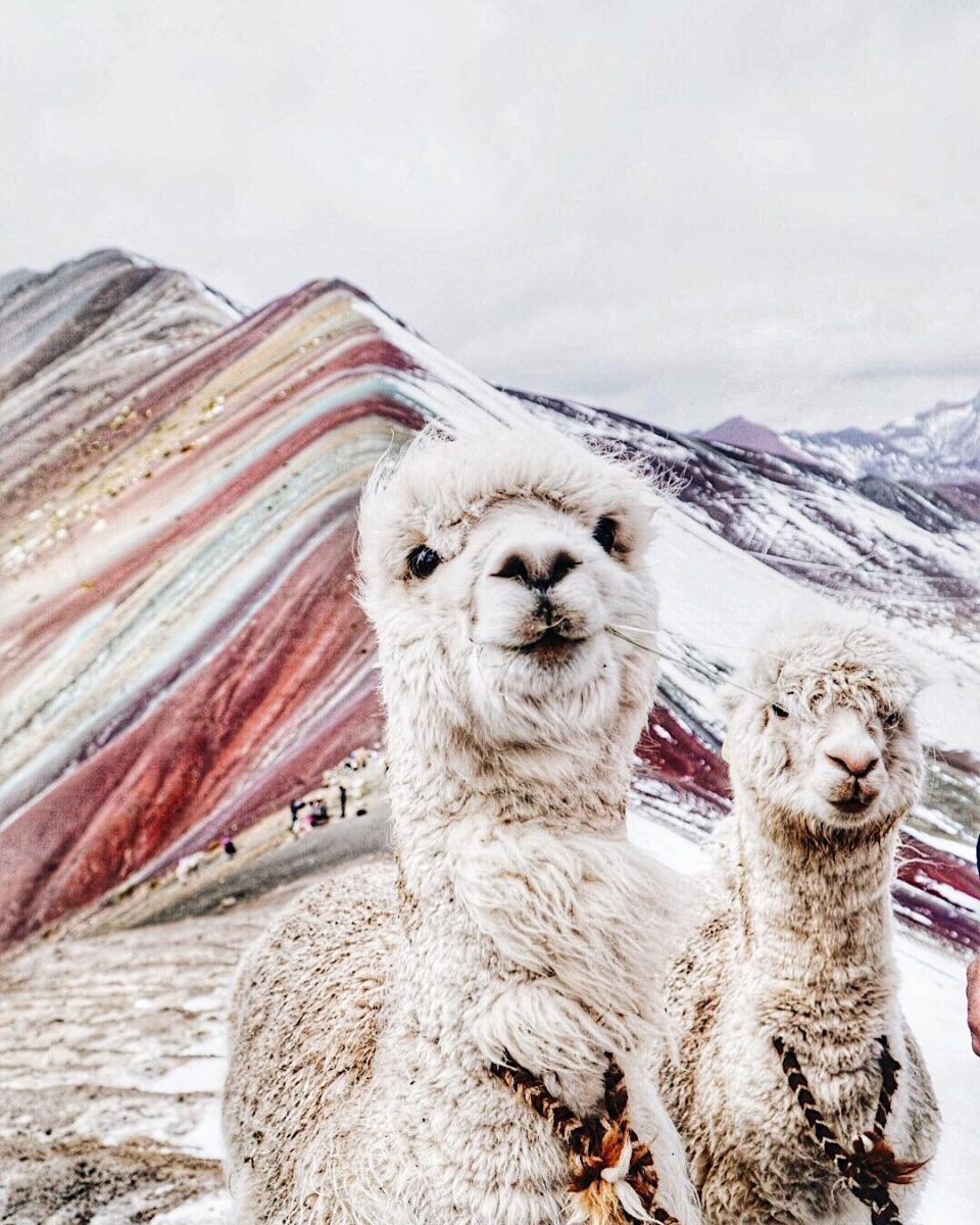 Amazing people (and llamas) at Rainbow mountain 8 photos to discover