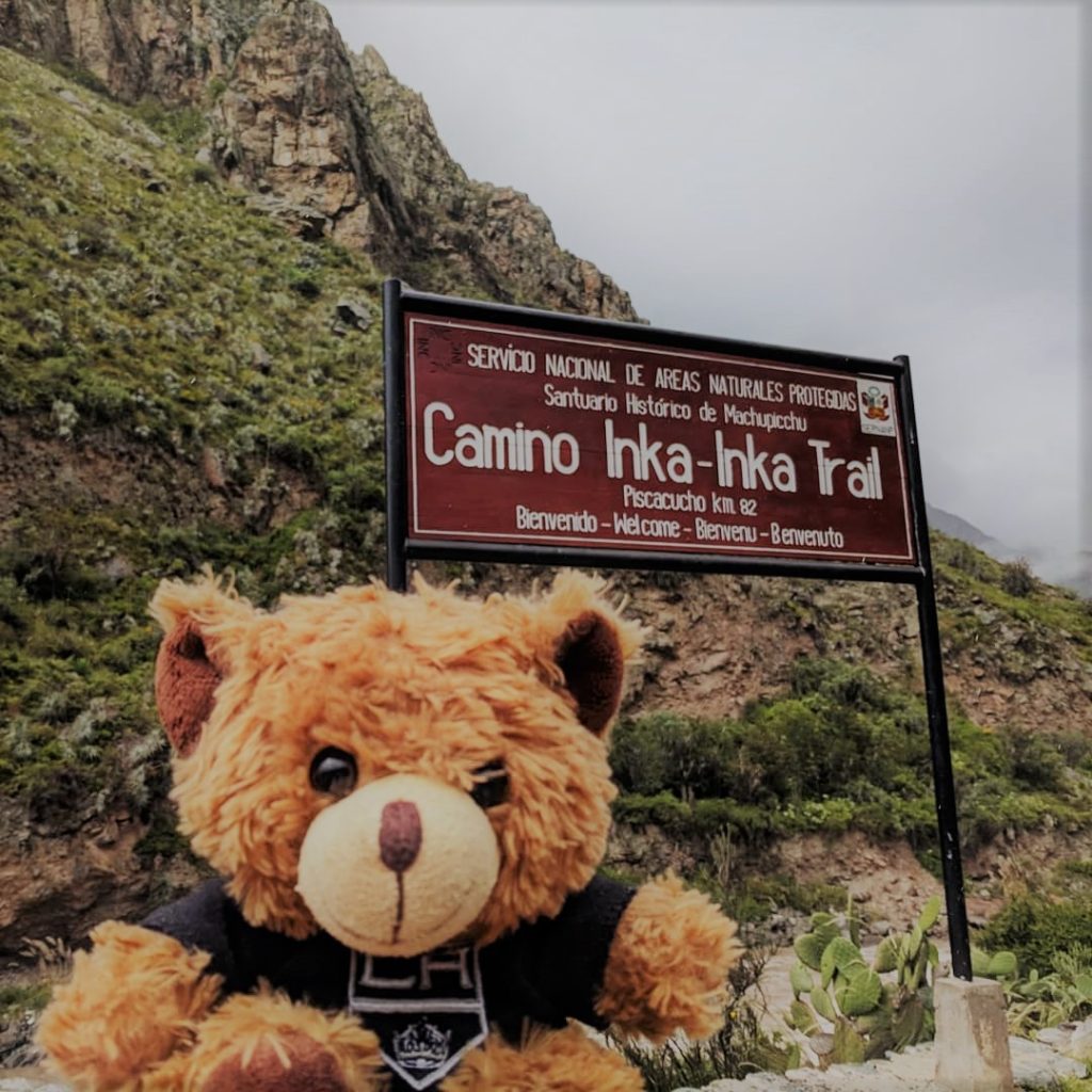 Teddy bear on Inka Trail 