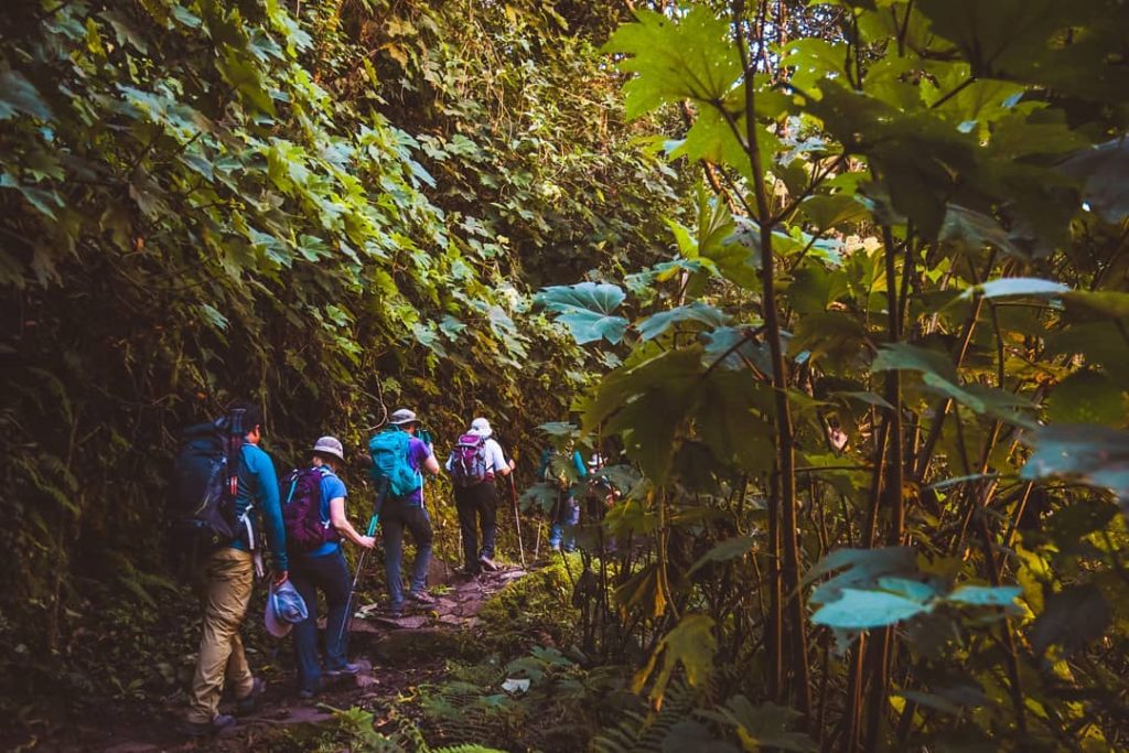 the fact that it’s a tropical region means that the climate is always hot and humid. This can make it more feasible to travel when it rains, and you might even enjoy the water on your face after walking around in the heat all day.