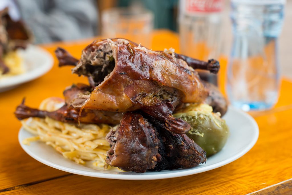 guinea-pig-Tipon-Southern-Valley-Cusco