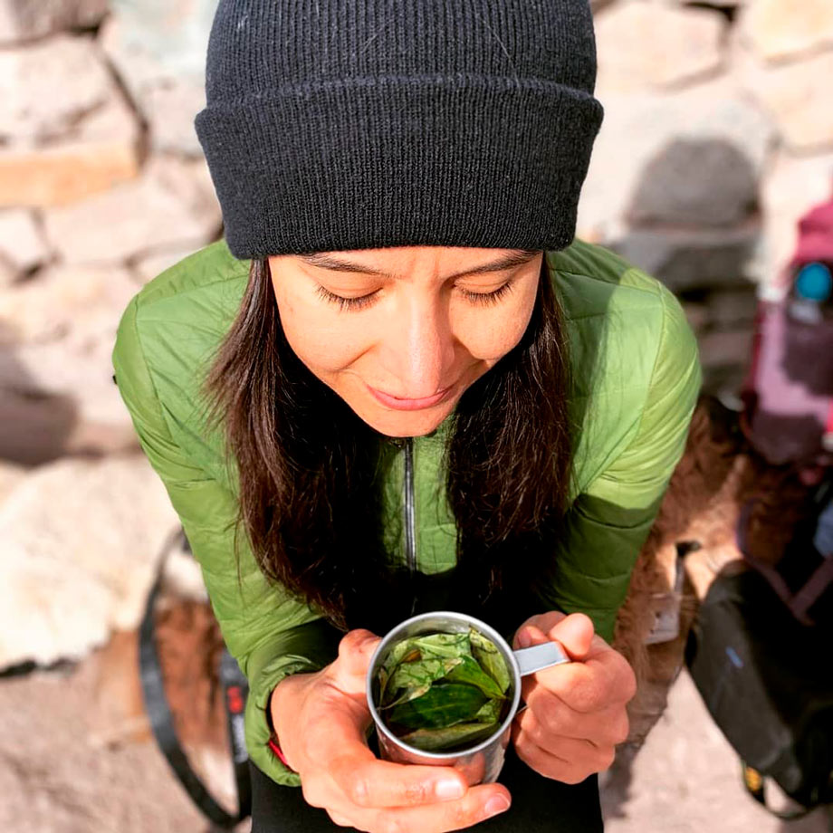 Drinking coca tea for altitude sickness