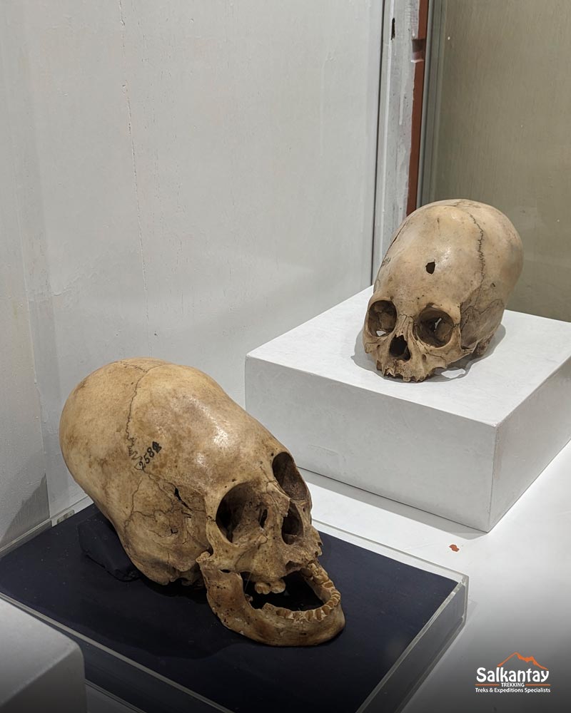 Inca culture skulls in the Inka Museum