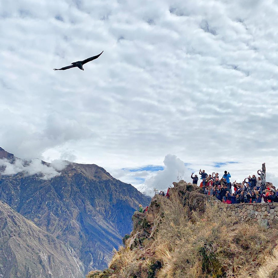 Colca Canyon, Arequipa, Peru attractions