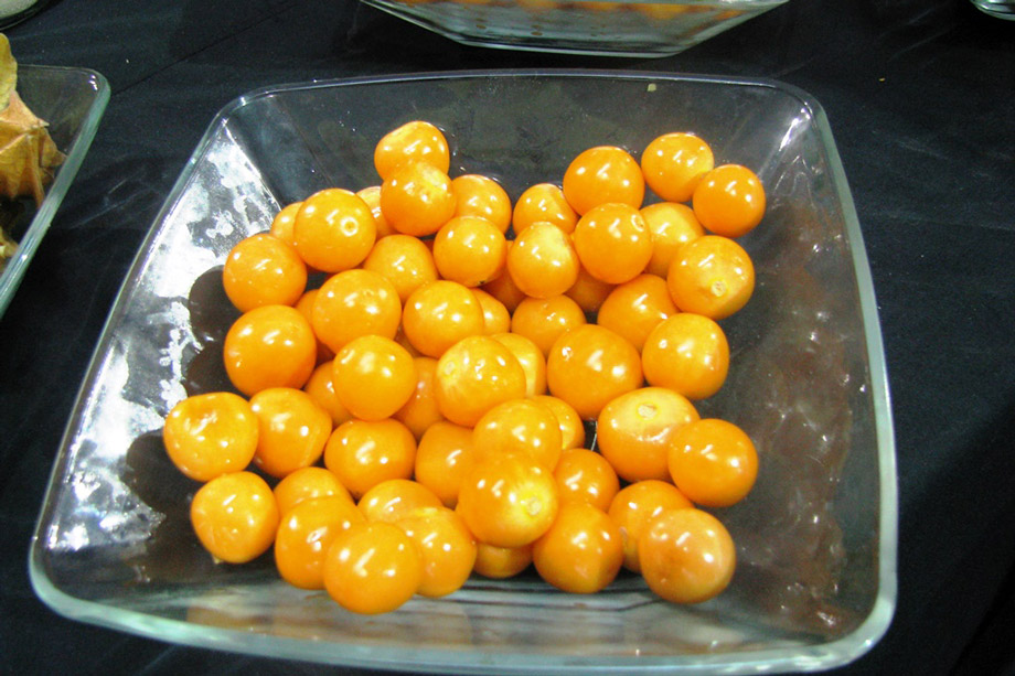 Aguaymanto, peruvian superfoods