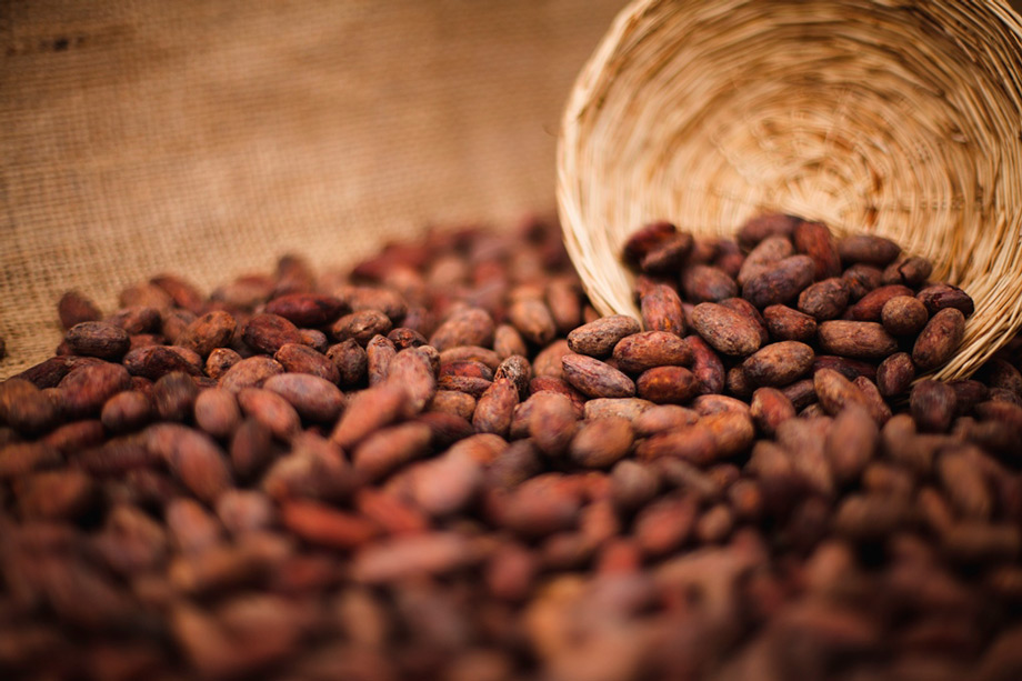 Cacao, peruvian superfoods