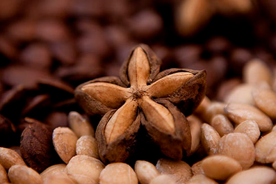 Sacha Inchi, peruvian superfoods