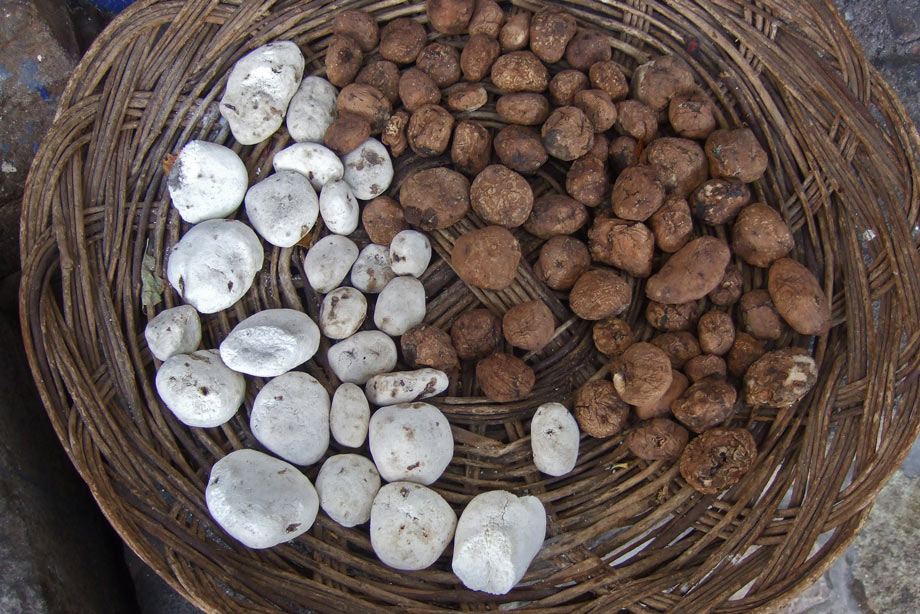 Freeze Drying, moraya and chuño.