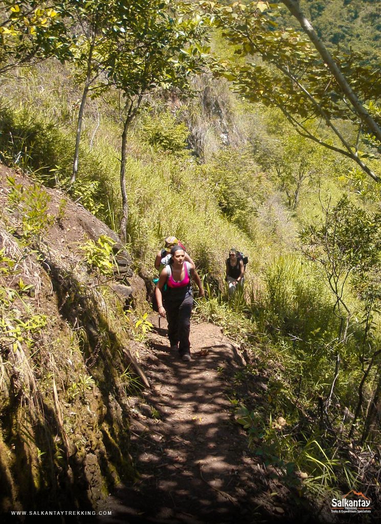 Inca Jungle Trail