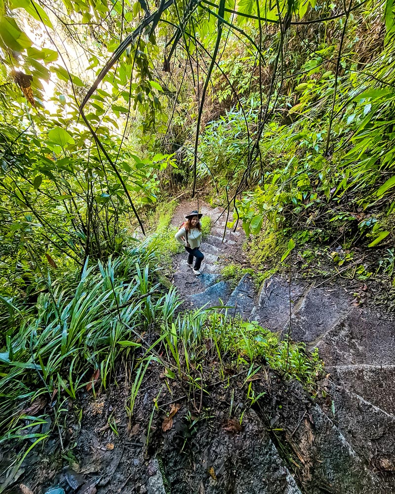 Trek to Machu Picchu