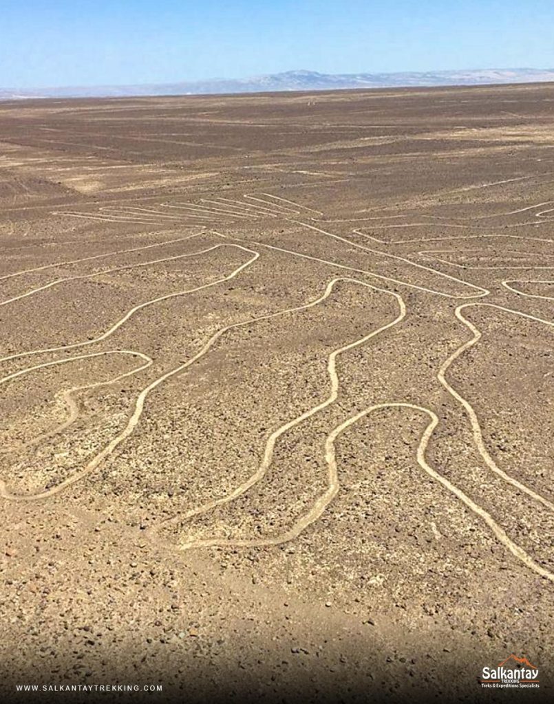 The Nazca Lines are located in the Pampas de Jumaná, Ica región.