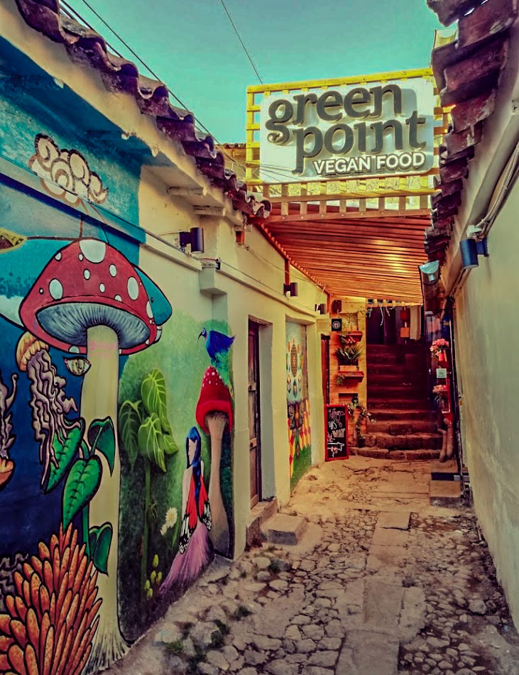 Vegetarian dinner in the garden of the vegan restaurant Green Point Cusco.