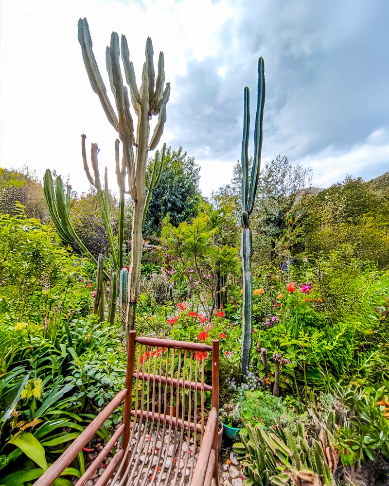Felipe Marin Moreno Botanic Garden