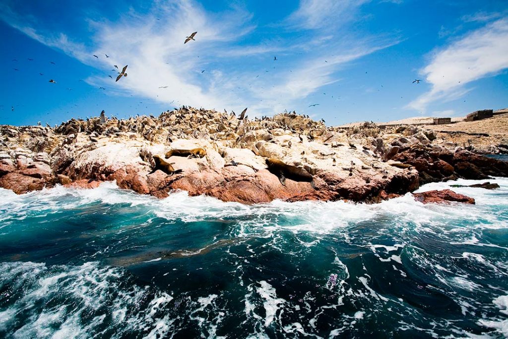 Coast Paracas Ballestas Islands Ica Peru