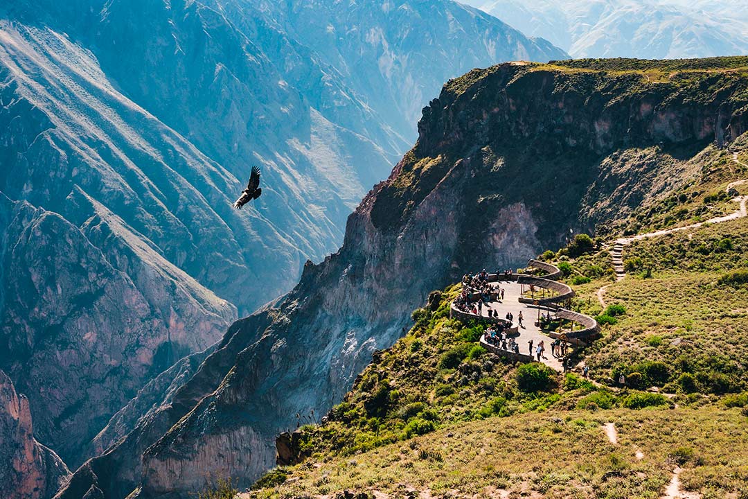 Colca Canyon in Arequipa-Peru people watching the flight of a condor