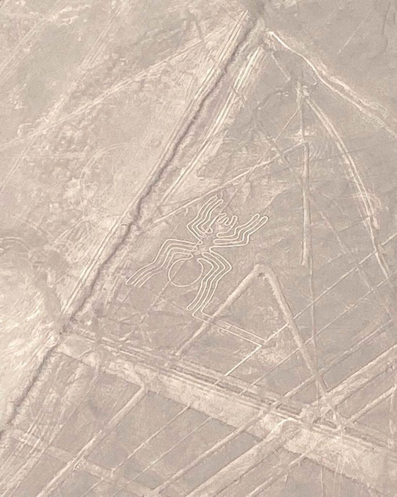Spider Nazca lines world heritage from UNESCO amazing great figures desert
