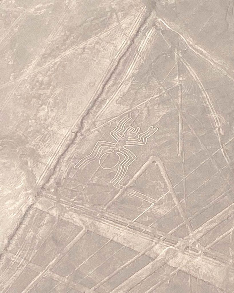 Spider Nazca lines world heritage from UNESCO amazing great figures desert