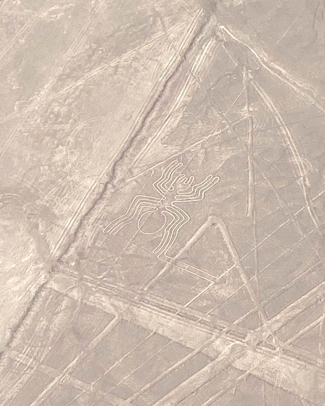 Spider Nazca lines ica-Peru south america
