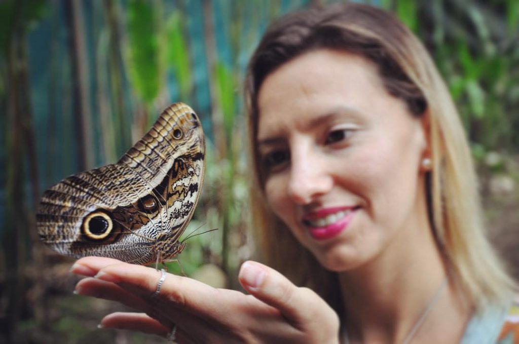 @jesumaryposa | The Butterfly House near the museum!