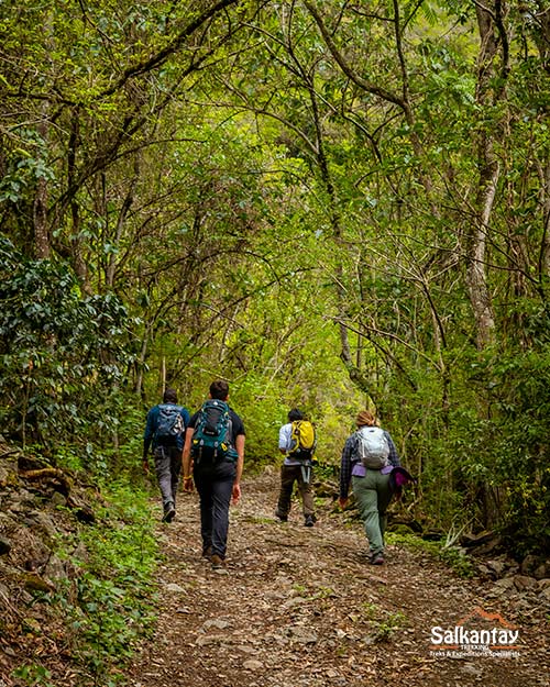 Inca Jungle Adventure
