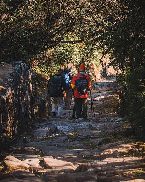 Trail to Machu Picchu Mountain