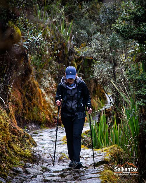 Trail Inca Trail