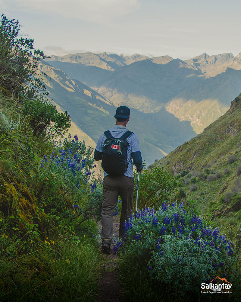 Huchuy Qosqo Trek