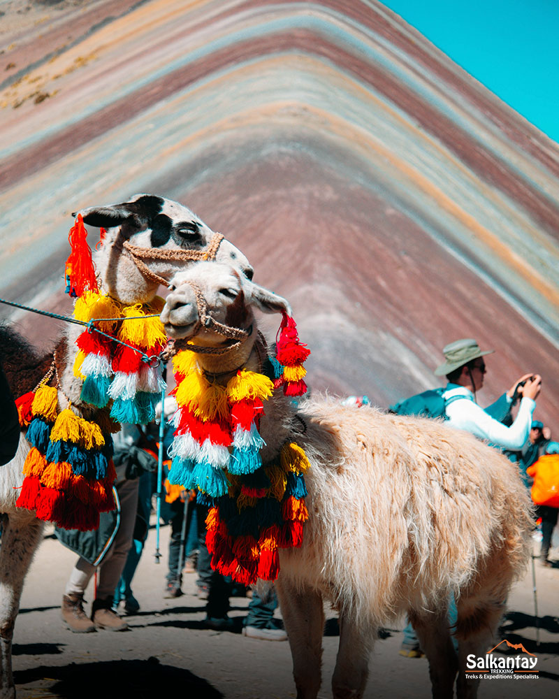 The famous Rainbow Mountain Vinicunca