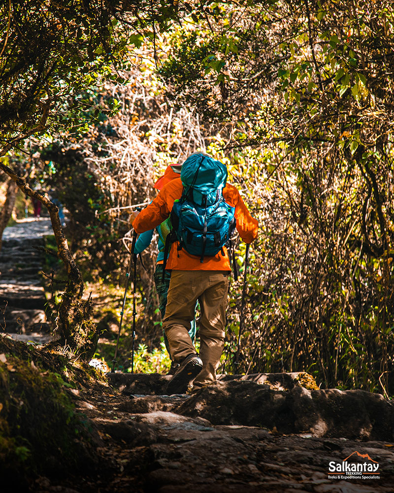 Treks to Machu Picchu