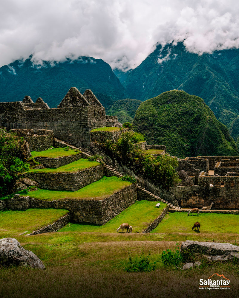 Machu Picchu