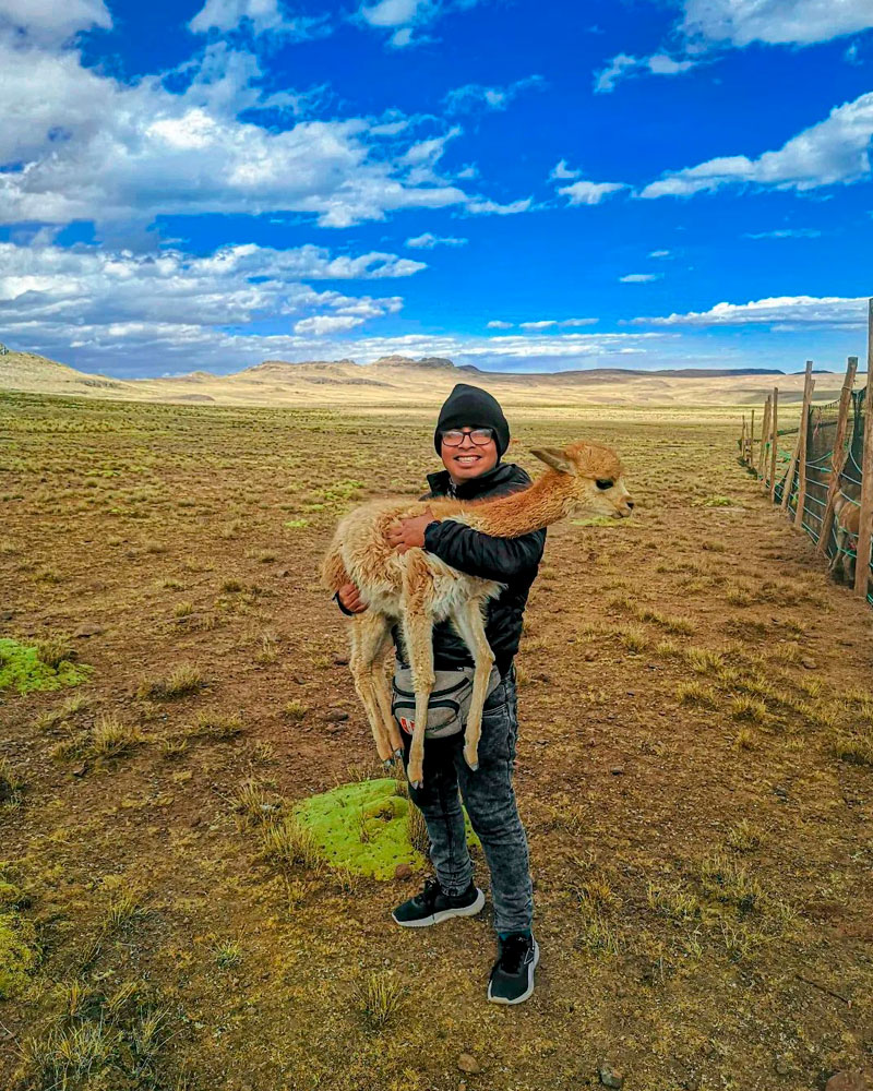 Pampa Galeras | @favio.valcarcel
