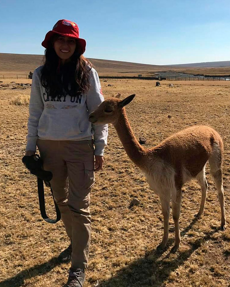 Pampa Galeras National Reserve | @sorii_21