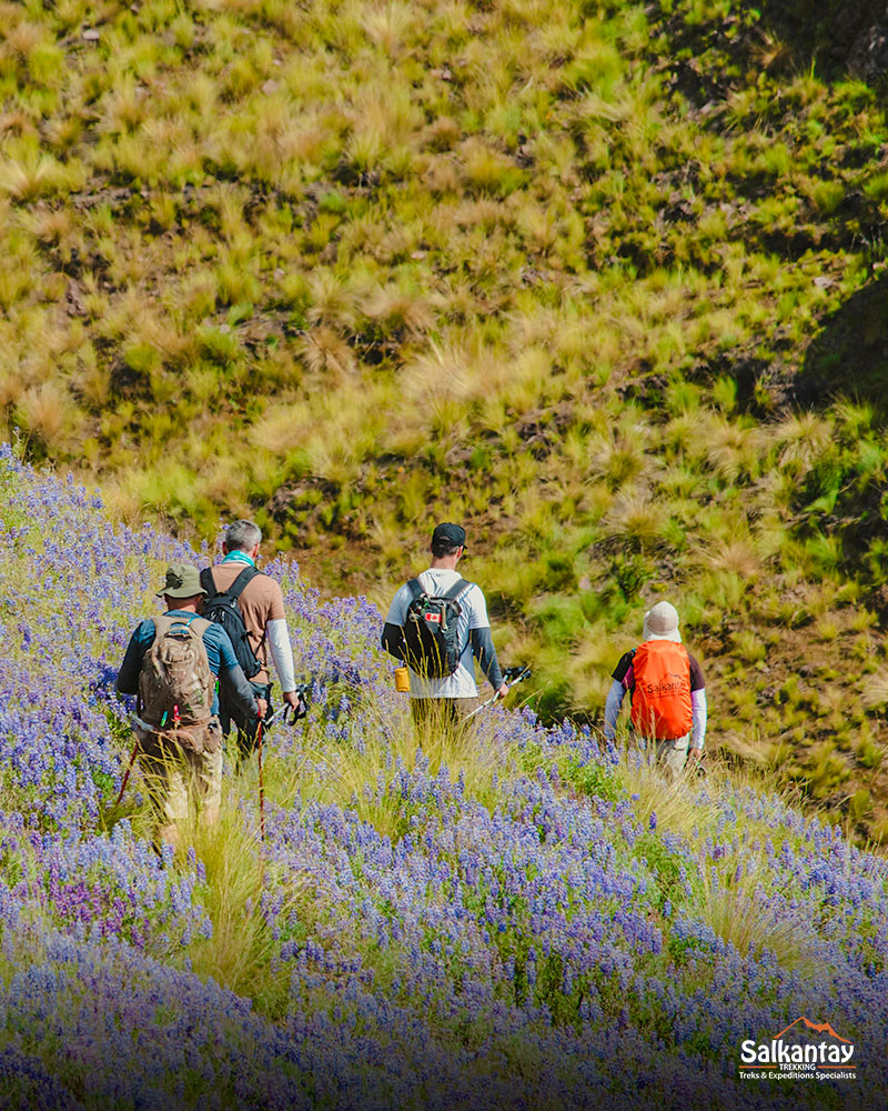 Trek for Green Landscapes