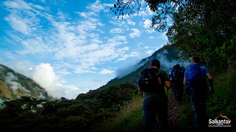 Mountain Forest | The Peruvian Andes