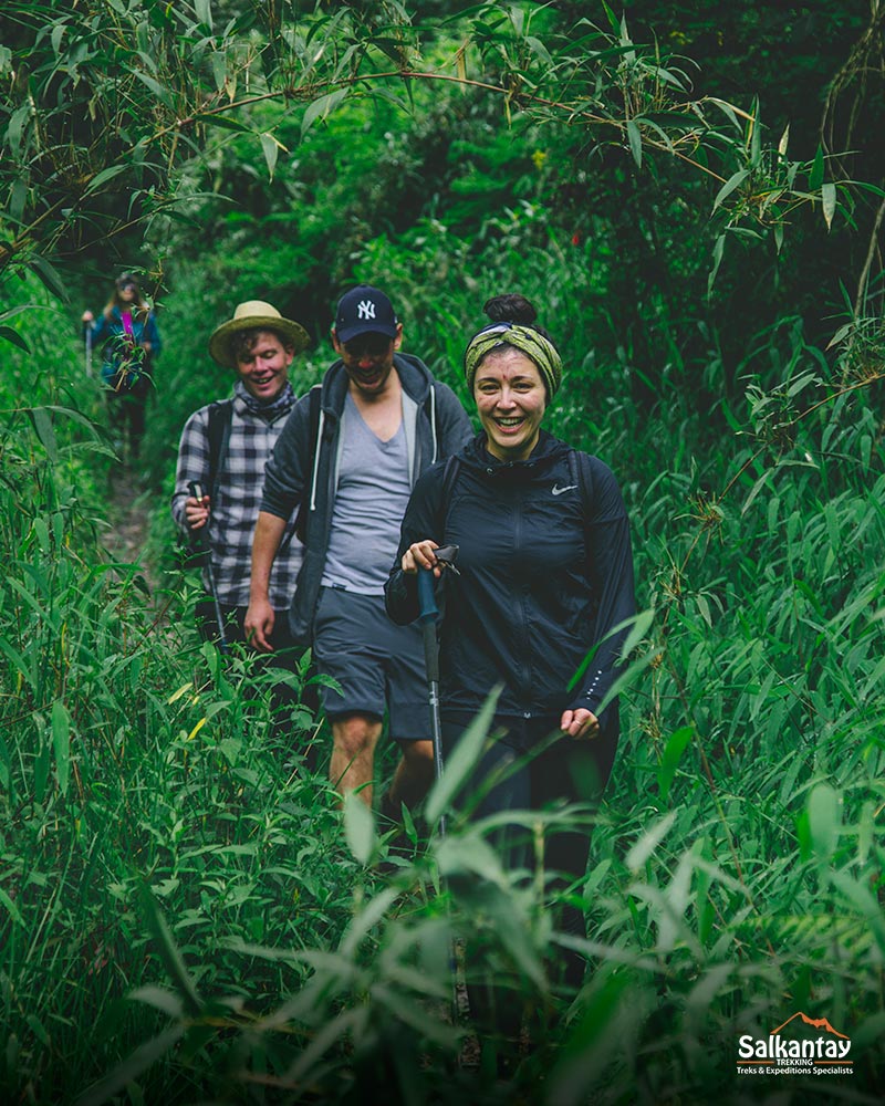 The cloud forest - Salkantay Trek