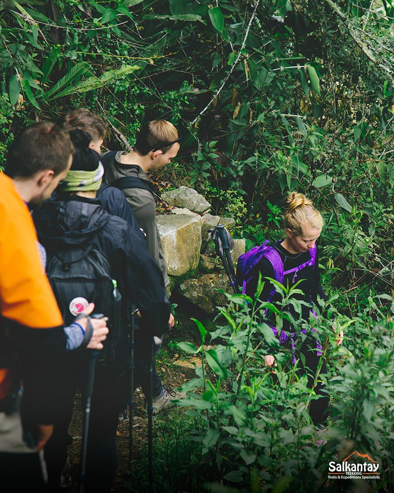 The cloud forest - The Salkantay Trekking