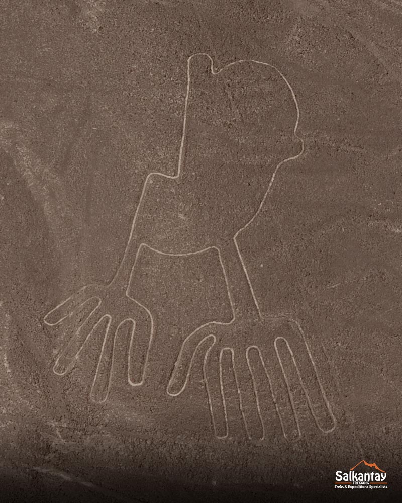 Nazca Lines - Hands