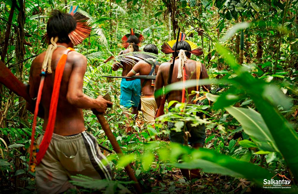 The Peruvian Amazon Rainforest. Interesting facts about Peru