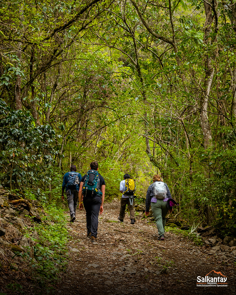 Tourists and their guide in the Andean jungle of the Inca Jungle Route