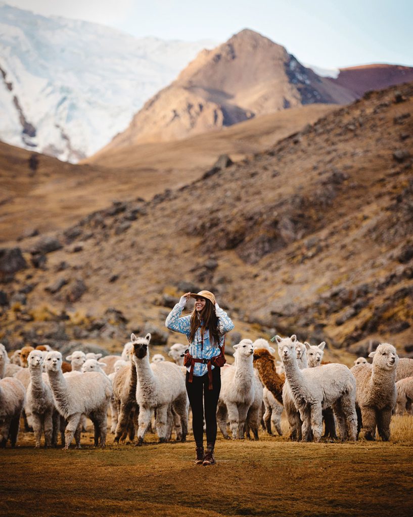 women llamas and alpacas in Ausangate Trek