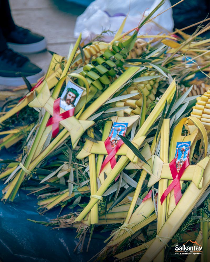 Photograpy of the olive palms in Cusco