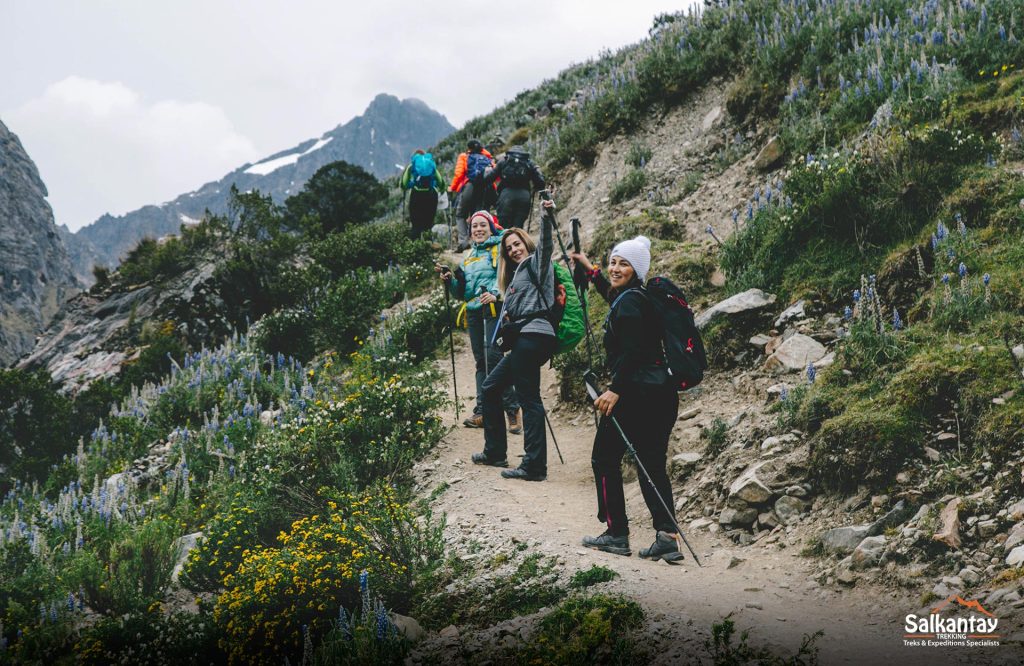 Walking in the andean mountains