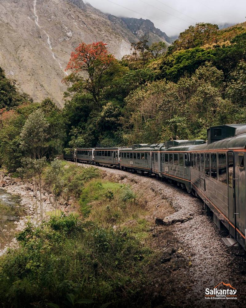 Train Inca Rail